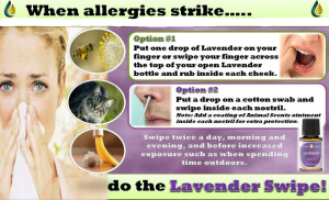 Allergies-and-lavender-edited