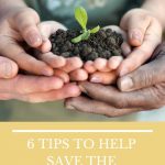 6 TIPS TO HELP SAVE THE ENVIRONMENT