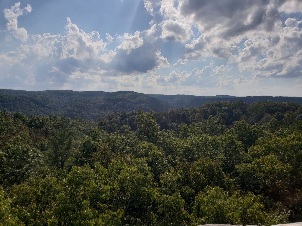 pickett state park