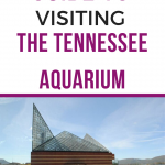 tennessee aquarium guide