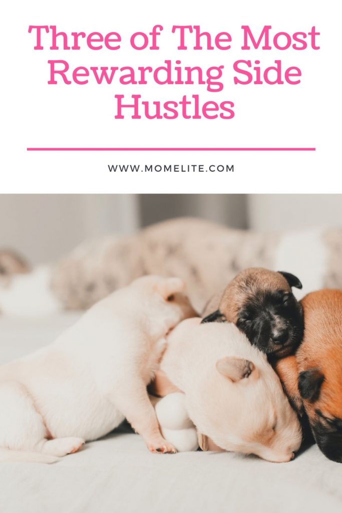 Three of The Most Rewarding Side Hustles