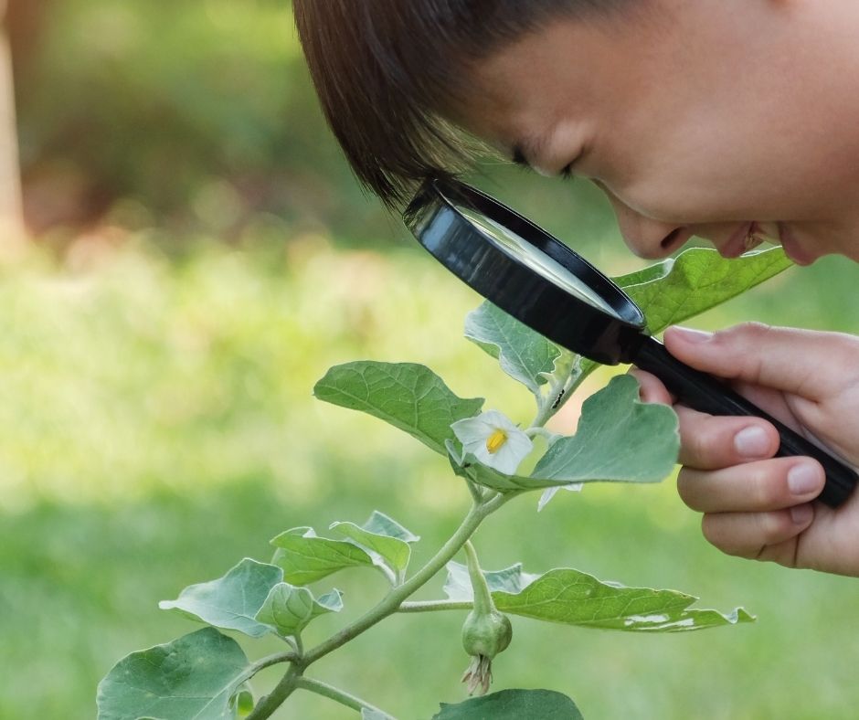 Earthy Love: Tips for Teaching Kids To Love Nature