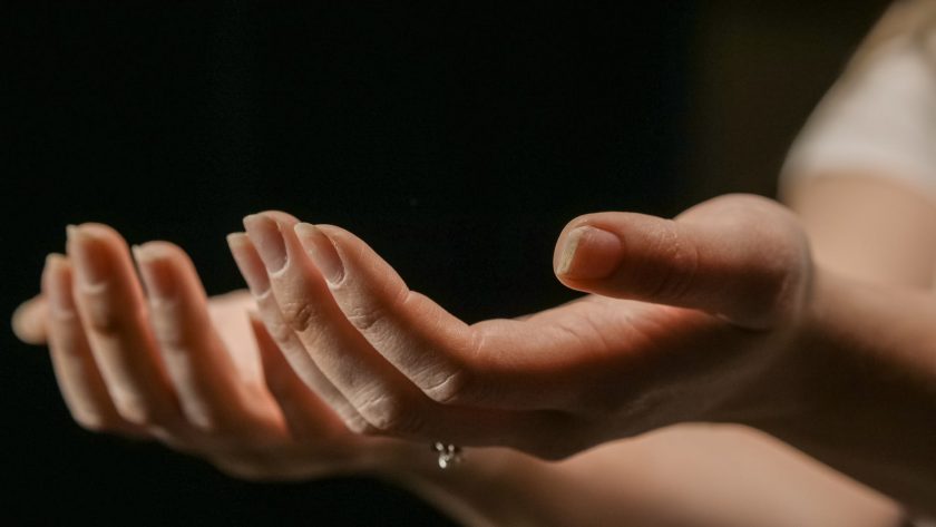 close up photo of a person s hands