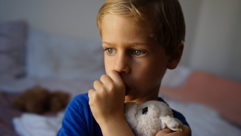 A young boy wearing a blue t-shirt holds a plush, white bunny against his chest while he sucks his thumb.