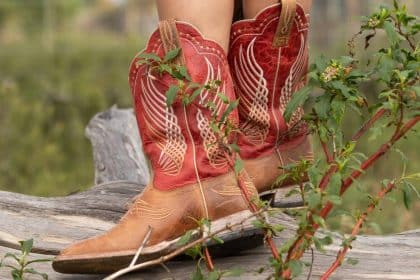Someone wearing a pair of red and brown leather Western boots while standing on a log in the middle of a green field.