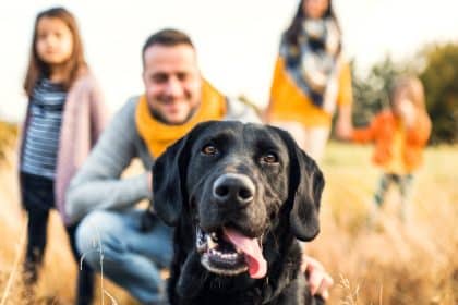 A black Labrador pants in a grassy field while a father kneels behind it and a mother walks with two daughters.